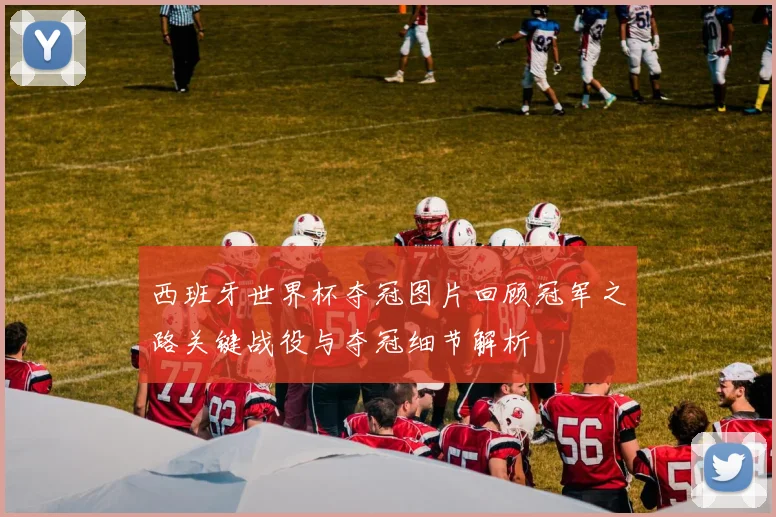 西班牙世界杯夺冠图片回顾冠军之路关键战役与夺冠细节解析